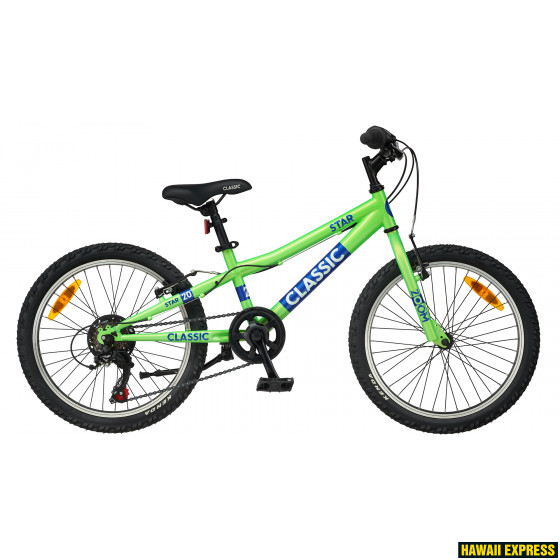20B-6-21-560x560.jpg 21 STAR 20" GREEN Classic - attēls 1