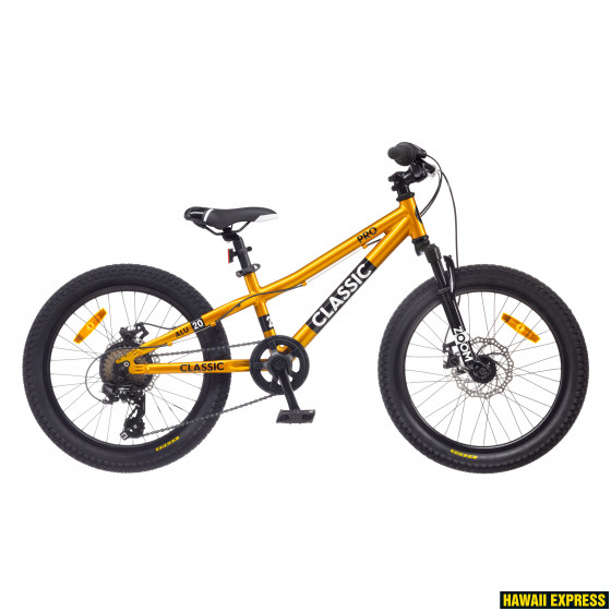 20BA-6SD-COL1-22-560x560.jpg 22 PRO 20 DISC GOLD Classic - attēls 1