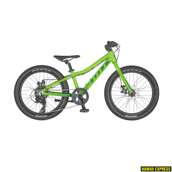 274943-560x560.jpg SCALE 20 RIGID - attēls 1
