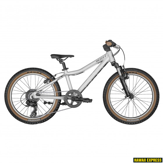 286618-560x560.jpg SCALE 20 SILVER - attēls 1