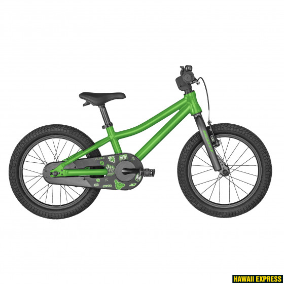 286633-560x560.jpg 22 ROXTER 16 GREEN scott - attēls 1