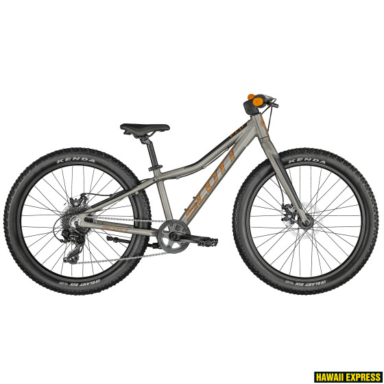 290750-560x560.jpg ROXTER 24 SILVER - attēls 1