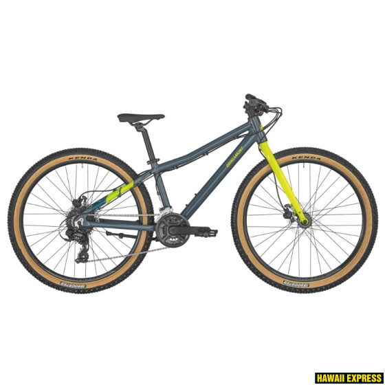 291113-560x560.jpg 24 REVOX 26 LITE DARK Blue/Yellow Bergamont - attēls 1