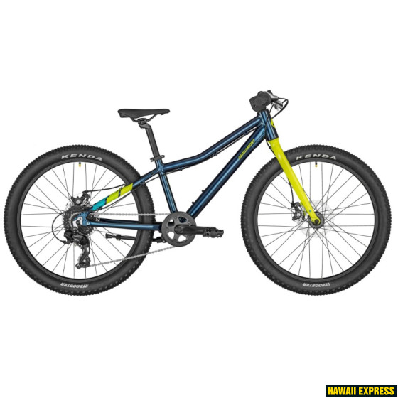 291115-560x560.jpg 24 REVOX 24 LITE BLUE 24" zils bergamont - attēls 1