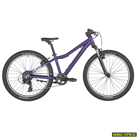291118-560x560.jpg 24 REVOX 24 PURPLE 24" lillā bergamont - attēls 1