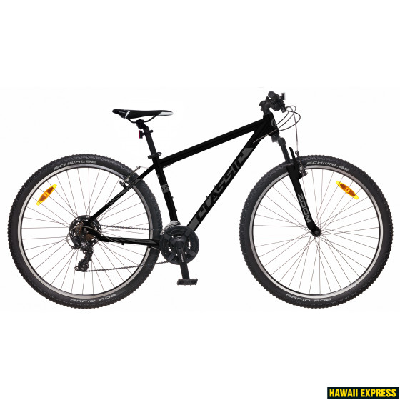 29MA-24S-21-560x560.jpg TEAM 29 24k - attēls 1