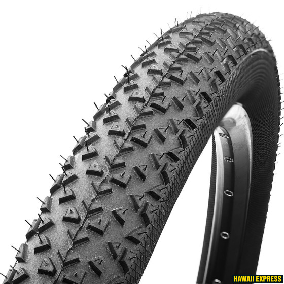 01007270000-560x560.jpg RACE KING 29X2,0 - attēls 1