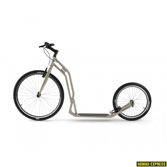 12402silvergold-560x560.jpg YEDOO S2620 - attēls 1
