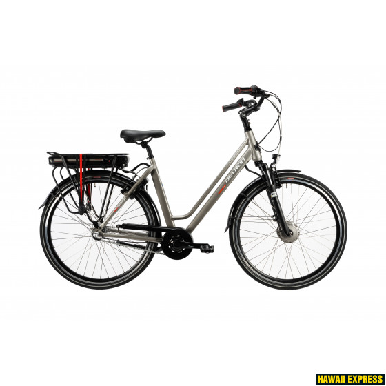 2198122DV4970-560x560.jpg E-BIKE DEVRON UNISEX - attēls 1