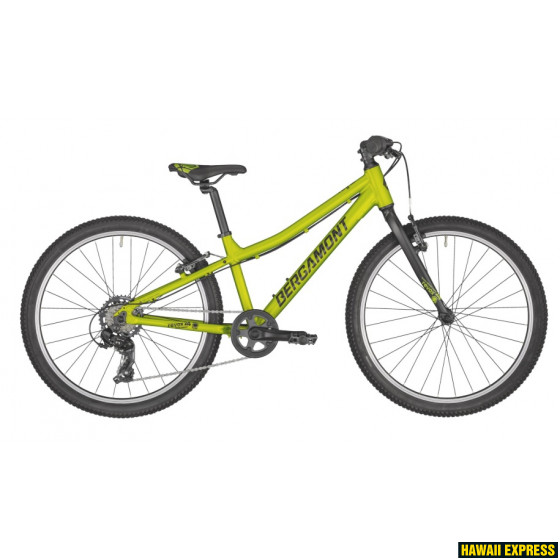 275596-560x560.jpg REVOX 24 LITE - attēls 1