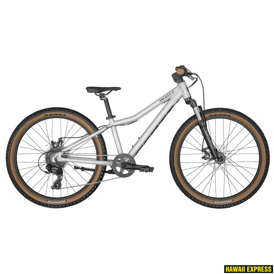 290744-560x560.jpg SCALE 24 DISC SILVER - attēls 1