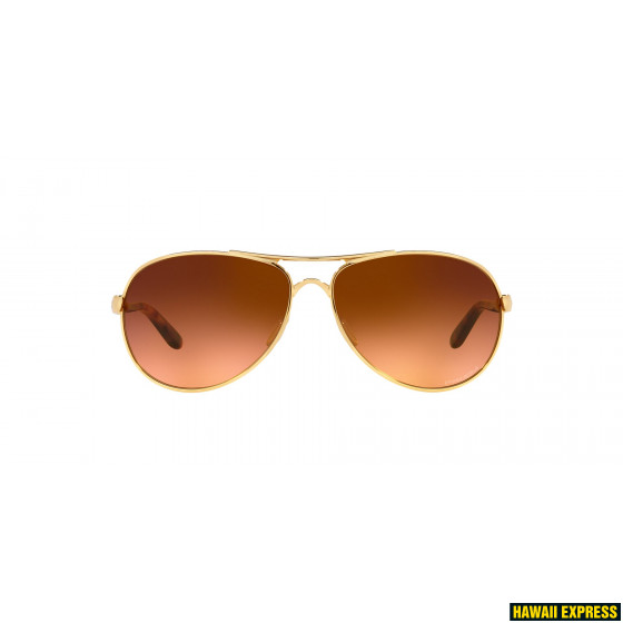 OO4079-4159-560x560.jpg FEEDBACK POLISHED GOLD w/ PRIZM BROWN GRADIENT - attēls 1