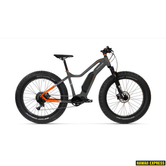 P3222145-560x560.jpg E-MAX SUSPENSION 26"/M - attēls 1