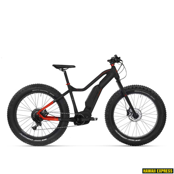 P3224150-560x560.jpg 23 E-MAX SE RIGID 26"/L - attēls 1