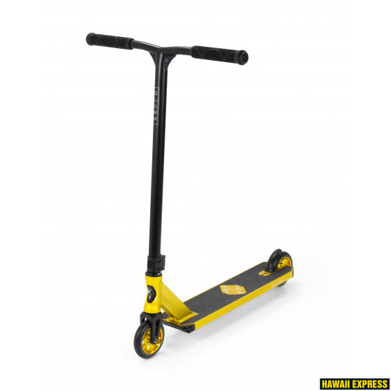 SL1635gold-560x560.jpg ASSAULT V6 - attēls 1