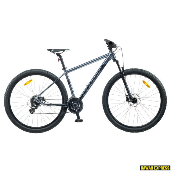 29MA-24SD-COL1-23-560x560.jpg 23 PRO 29 24k 29"/XL SILVER classic - attēls 1